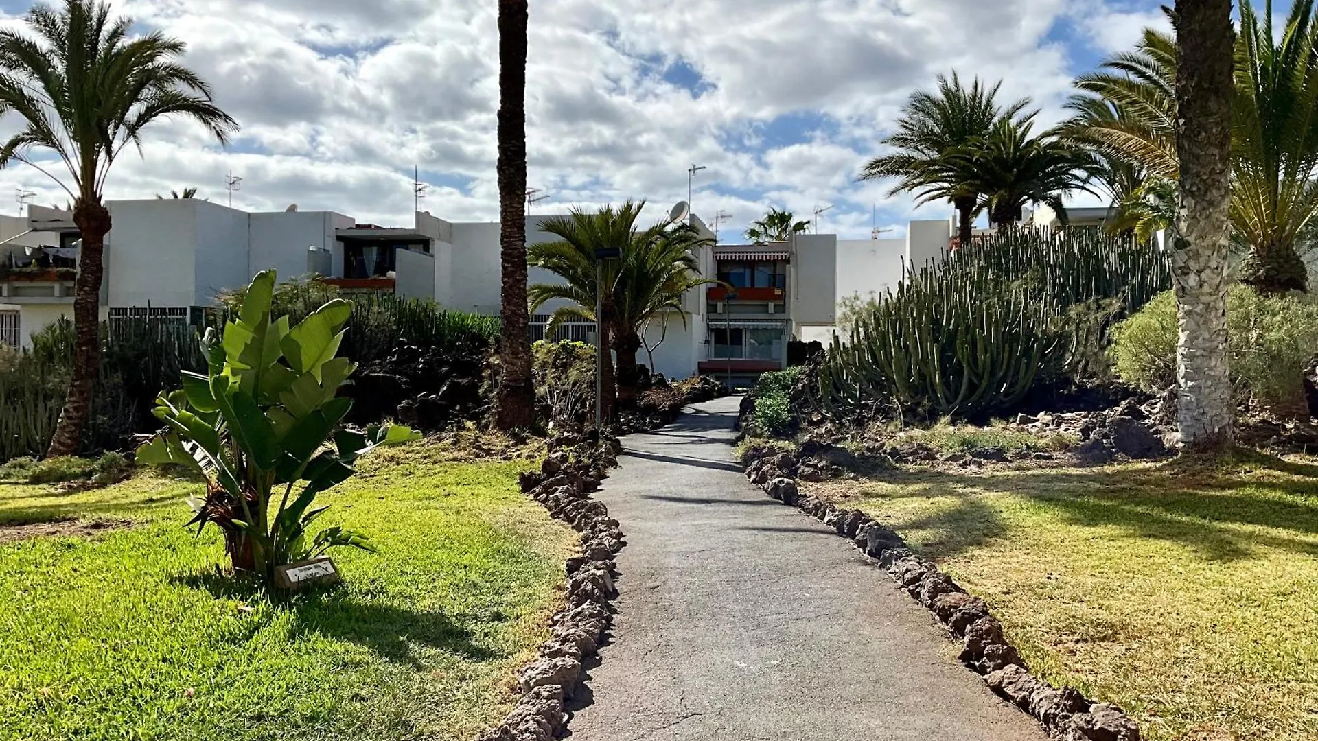 Primavera Costa Del Silencio Apartment